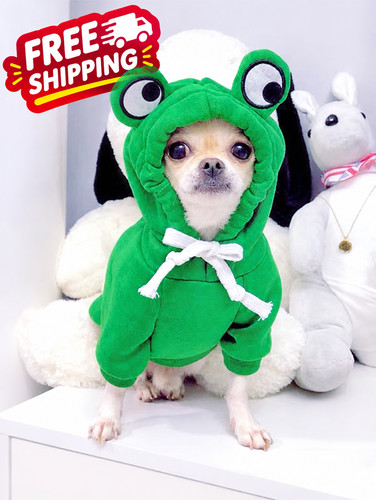 Cute fruit dog hoodie - dog, warm