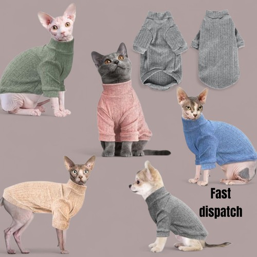 Hairless cats sweater shirt - cats,