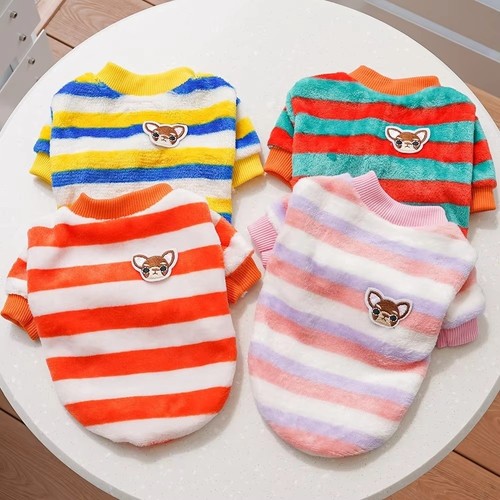 Rainbow striped pet - rainbow,