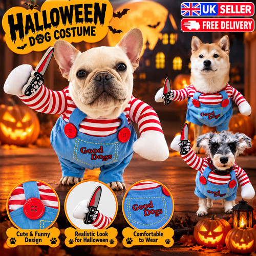 Halloween funny pet - pet, costume
