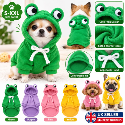Cute frog dog costume - dog,