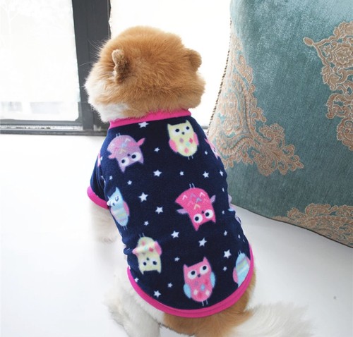 Dog pet puppy cat cute - pet,