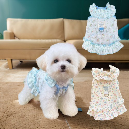 Dog cool dress - dog,