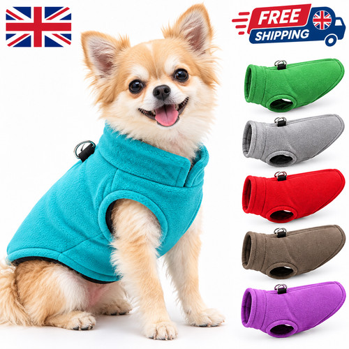 Pet dog coat - dog, winter
