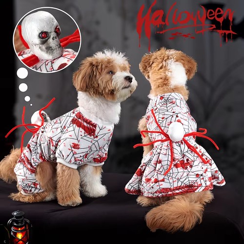 Pet halloween costume dog - halloween,