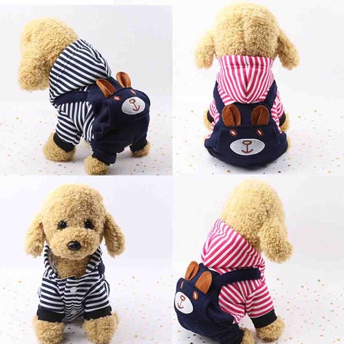 And winter models - and, dog
