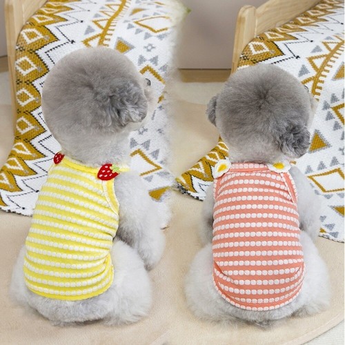 Cute pet dog clothes - pet,