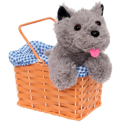 Cute terrier dog gingham - dog, or