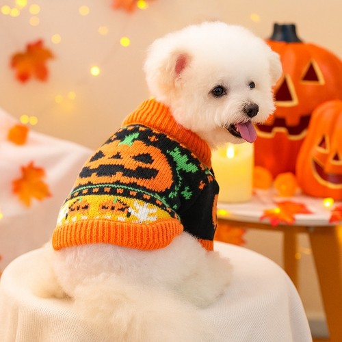 Pet christmas sweater cute - christmas, dog