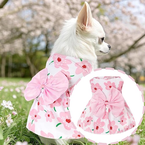 Dog dress cat princess - dress,