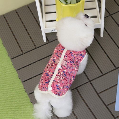 Pet clothes for dogs cute - pet,