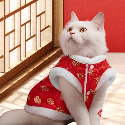 Pet cold jacket - pet, coat