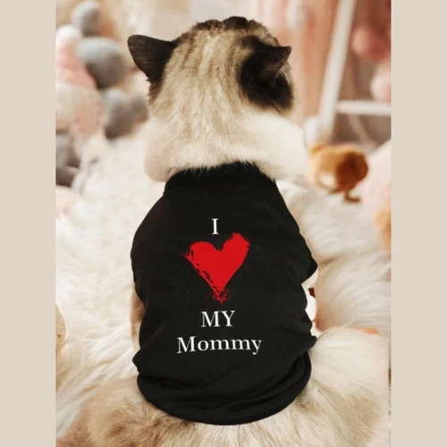 Pet dog cat cute - dog,