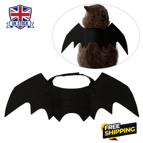 Halloween cute pet clothes - halloween,
