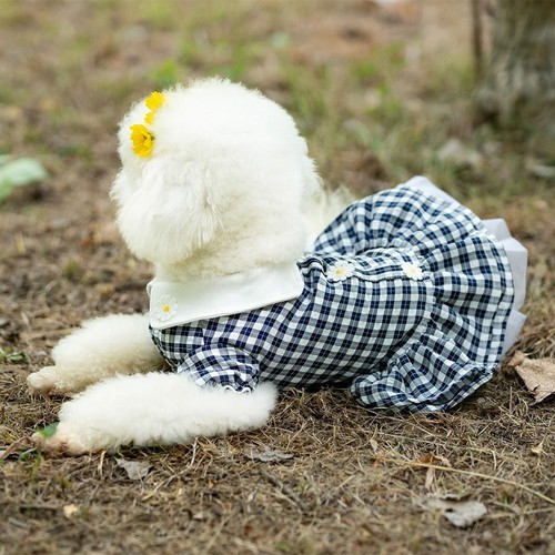 Pet clothes small dog cat - dog,