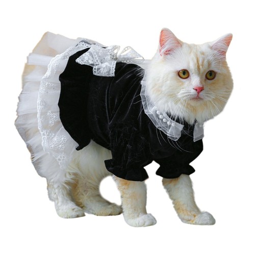 Pet costume dress - costume, dog