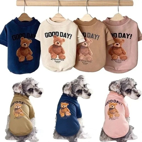 Cute bear dog sweater - 🔥,