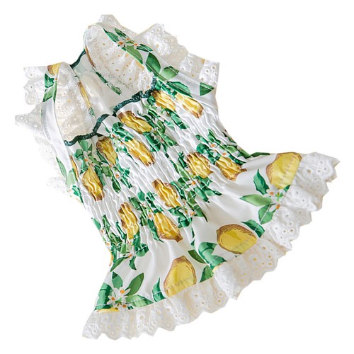 Fashionable reusable dog dress - reusable,