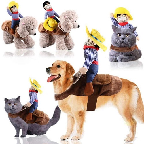 Funny dog costumes - funny, pet