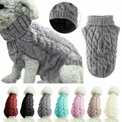 Hot puppy dog jumper winter - jumper,