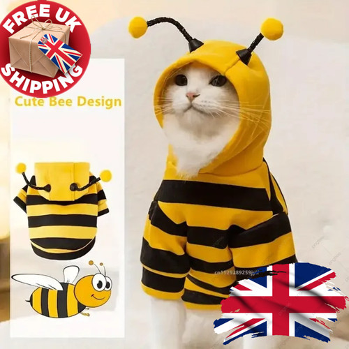 Bee costume dog - bee,