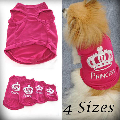 Pet dog cat cute princess - cat,