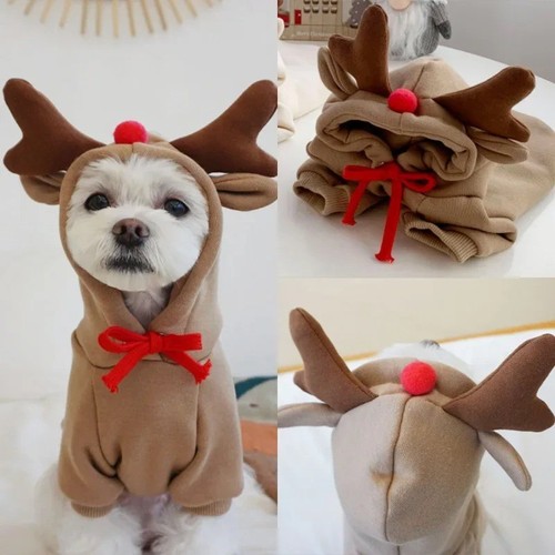 Cute reindeer dog hoodie - reindeer,
