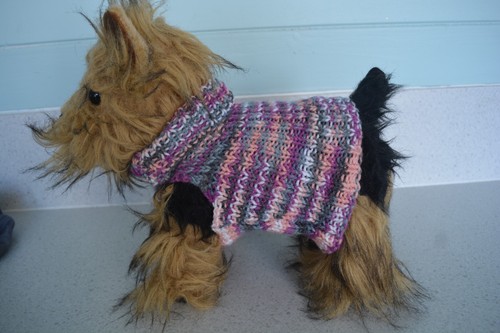 Hand knitted dog coat - , /