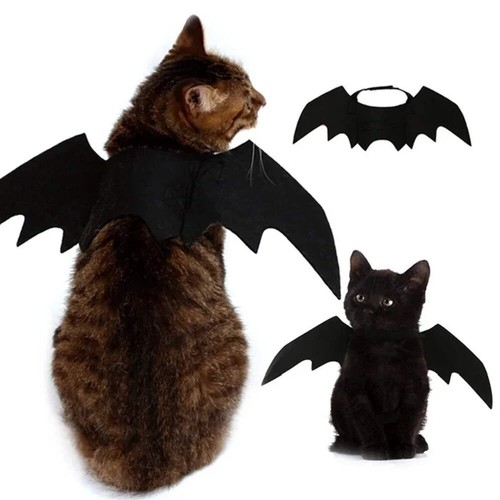 Halloween cute pet clothes - halloween,