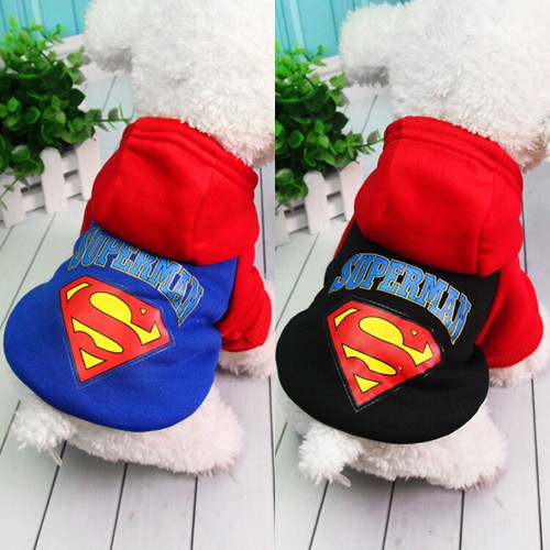 Pet dog clothes cat - puppy, coat