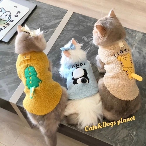Plush cat sweater - cat,