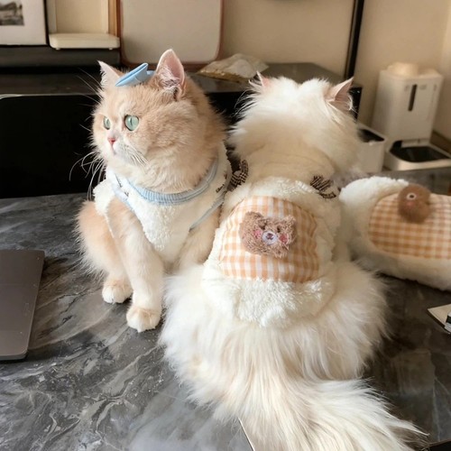 2xl winter puppy clothes - winter,