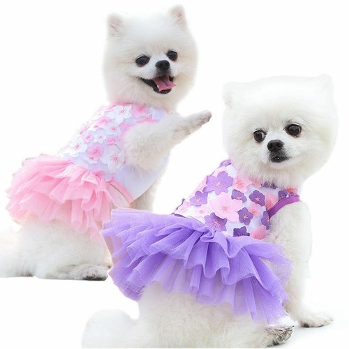 Cute pet dogs dress - dogs, skirt