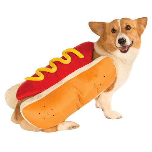 Puppy cute dress sausage - dress, up