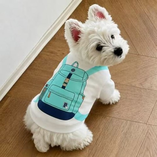 Cute dog sweatshirt - dog, with