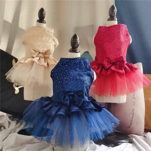 Cat clothes tulle - cat,