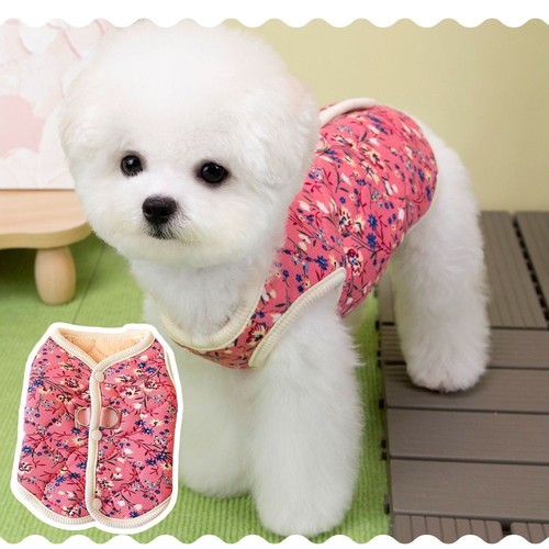 Plush pet dog - plush, cute