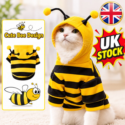 Bee costume pet hoodie - bee,