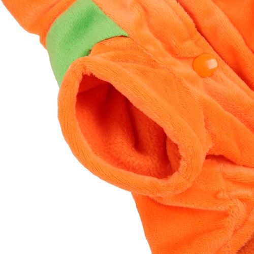 Halloween pumpkin dog - halloween,