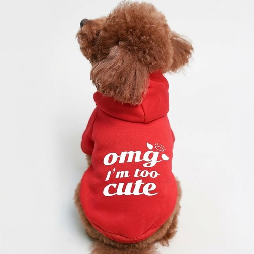 Cute dog hoodie sweater - cute,