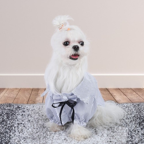 Cute dog cat shirt - cute, blue