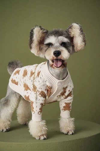 Cute teddy bear dog cardigan - cute,